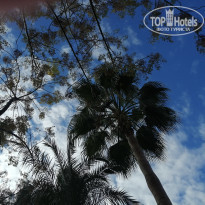 фото из отзыва ID 2601155