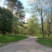 фото из отзыва ID 2601178