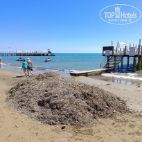 фото из отзыва ID 2601290