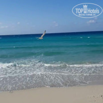 фото из отзыва ID 2601139