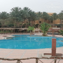 фото из отзыва ID 2601341