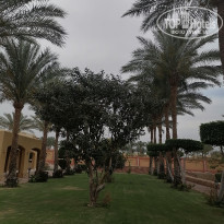 фото из отзыва ID 2601341