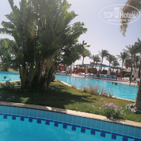 фото из отзыва ID 2601341