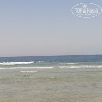 фото из отзыва ID 2601341