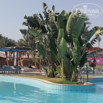 фото из отзыва ID 2601341