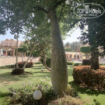 фото из отзыва ID 2601341