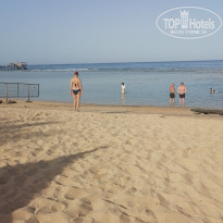 фото из отзыва ID 2601341