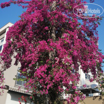 фото из отзыва ID 2601655