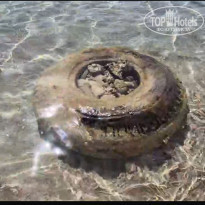 фото из отзыва ID 2601606