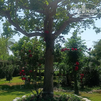 фото из отзыва ID 2601916