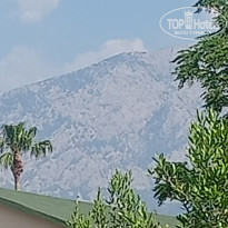 фото из отзыва ID 2601916