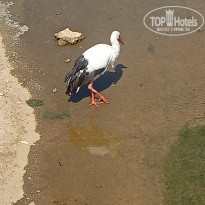 фото из отзыва ID 2601916