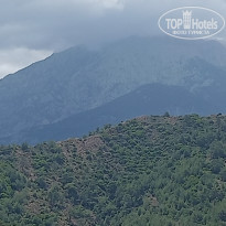 фото из отзыва ID 2601916