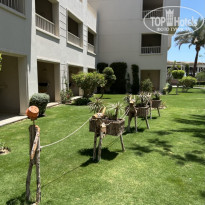 фото из отзыва ID 2601943