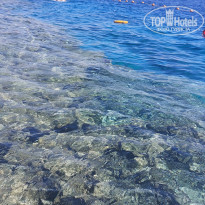 фото из отзыва ID 2601986