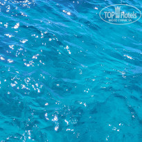 фото из отзыва ID 2601986