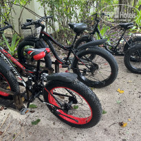 фото из отзыва ID 2602187