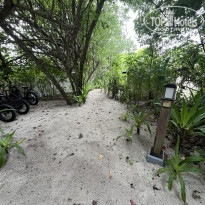 фото из отзыва ID 2602187