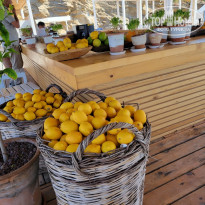 фото из отзыва ID 2602209