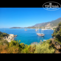 фото из отзыва ID 2602248