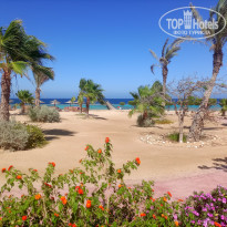 фото из отзыва ID 2602234