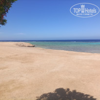 фото из отзыва ID 2602234