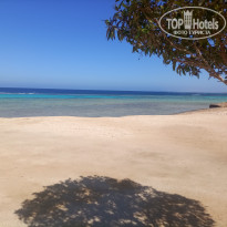 фото из отзыва ID 2602234