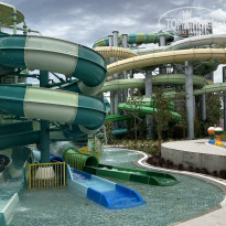 фото из отзыва ID 2602269