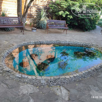 фото из отзыва ID 2602511