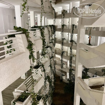 фото из отзыва ID 2602521