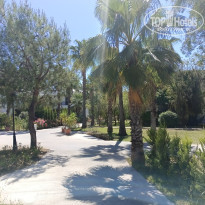 фото из отзыва ID 2602549