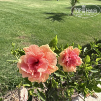 фото из отзыва ID 2602467