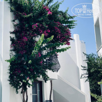 фото из отзыва ID 2602903