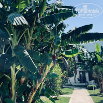 фото из отзыва ID 2602903