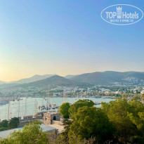 фото из отзыва ID 2602903