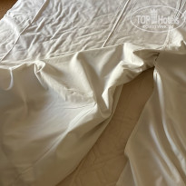 фото из отзыва ID 2602961