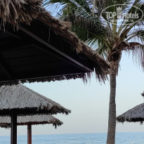 фото из отзыва ID 2602963