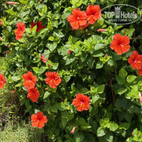 фото из отзыва ID 2602963