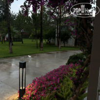 фото из отзыва ID 2602993