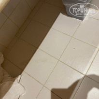 фото из отзыва ID 2603023