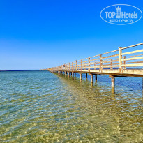 фото из отзыва ID 2602973