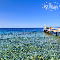 фото из отзыва ID 2602973