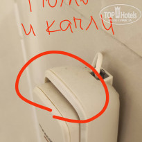 фото из отзыва ID 2603194