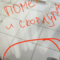 фото из отзыва ID 2603194