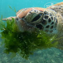 фото из отзыва ID 2603433