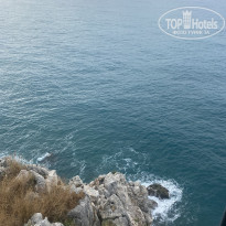 фото из отзыва ID 2603538