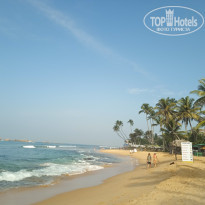 фото из отзыва ID 2603392