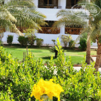 фото из отзыва ID 2603789