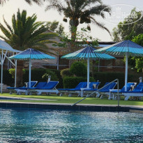 фото из отзыва ID 2603789