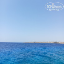 фото из отзыва ID 2603857